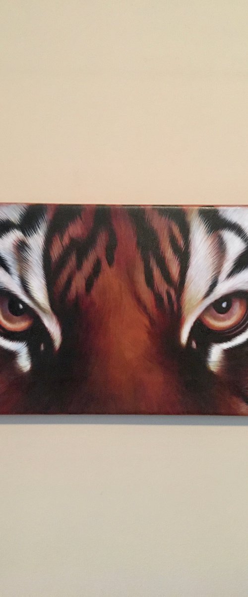 Large Tiger Eyes by Karl Hamilton-Cox