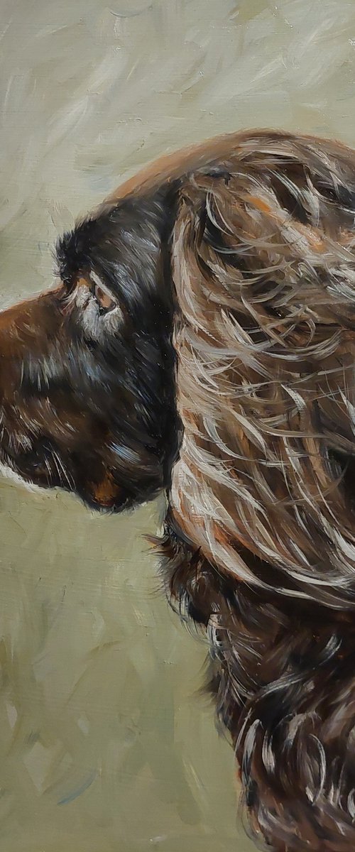 Commission dogs by Els Driesen