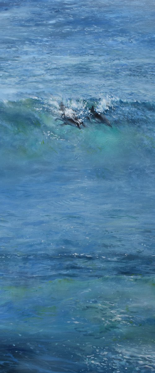 4 dolphins@cylinder by Trevor Salisbury