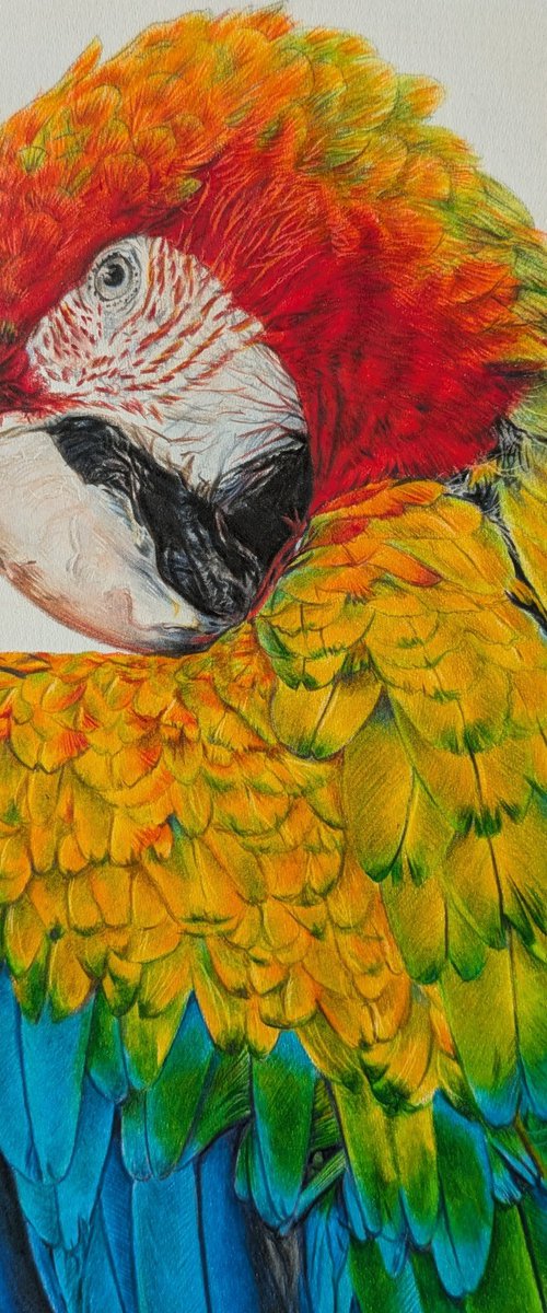 Jungle Prism by Annika Schmitt