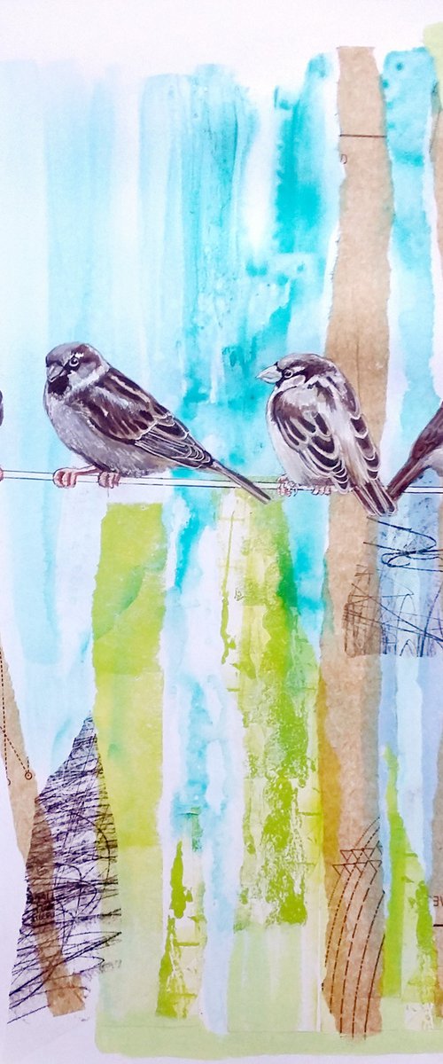 Spuggies (sparrows) by Carolynne Coulson