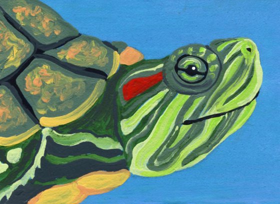 ACEO ATC Original Miniature Painting Red Ear Slider Turtle  Pet Wildlife Art-Carla Smale