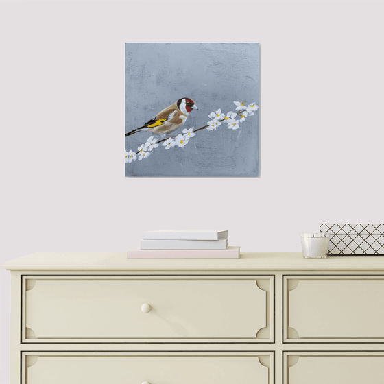 Goldfinch On Cherry Blossom