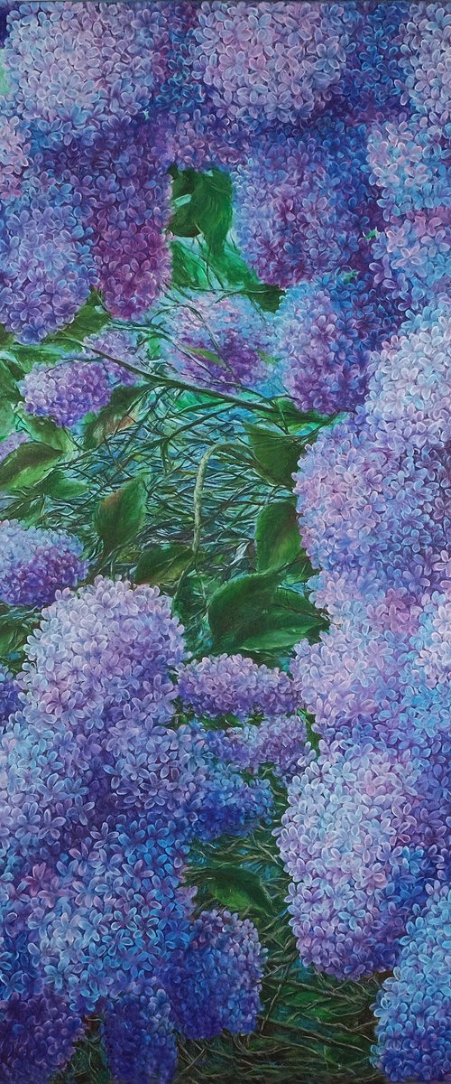 Lilac. Spring lilac. by Anastasia Woron
