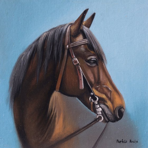 Horse Portrait 30