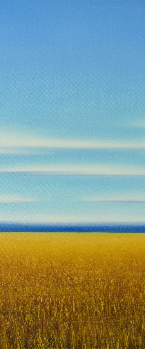 Summer Gold Field by Suzanne Vaughan