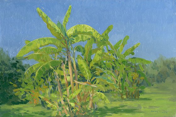 Banana trees. Belek