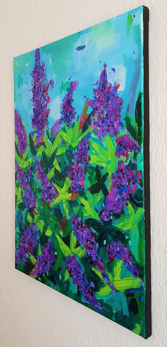 Buddleia