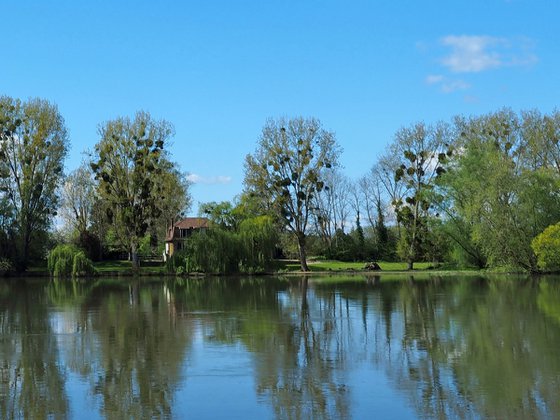 La Seine au printemps