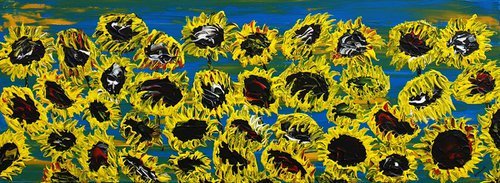 Blooming sunflowers 3 by Daniel Urbaník