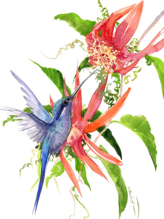 Hummingbird and Red Flowers