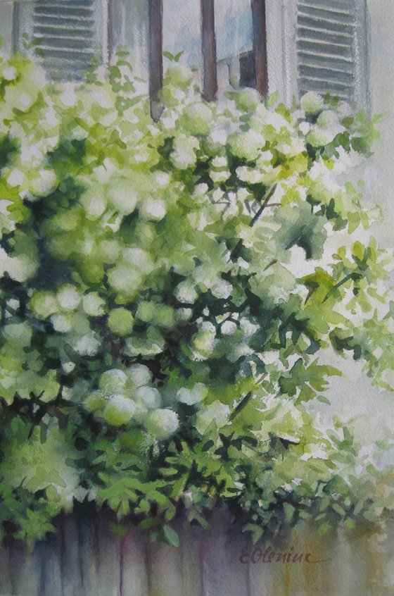 The flowered fence