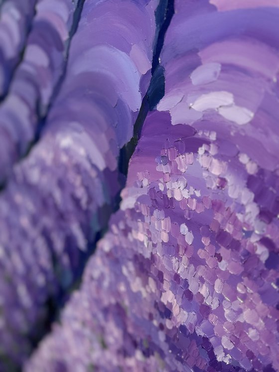 Lavender Dusk