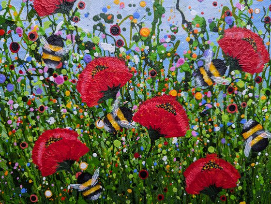 Poppy Meadow Delight #3