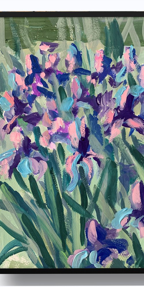 Irises. by Vita Schagen