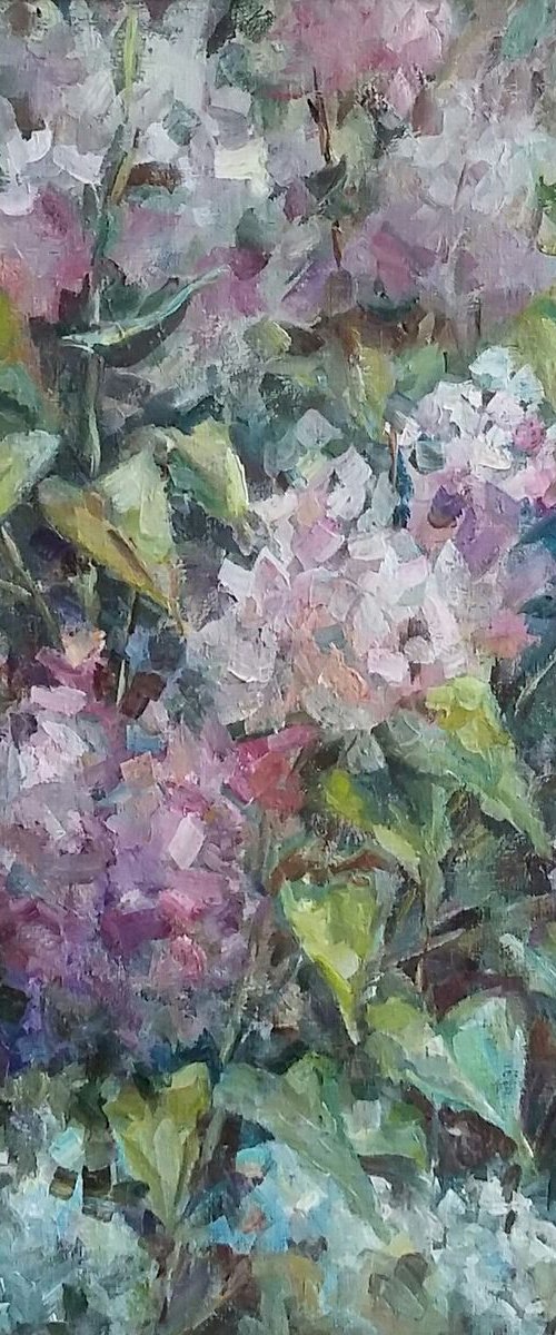 Lilac by Elena Klyan