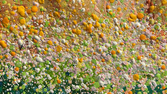 Fall with Me into the Dandelions