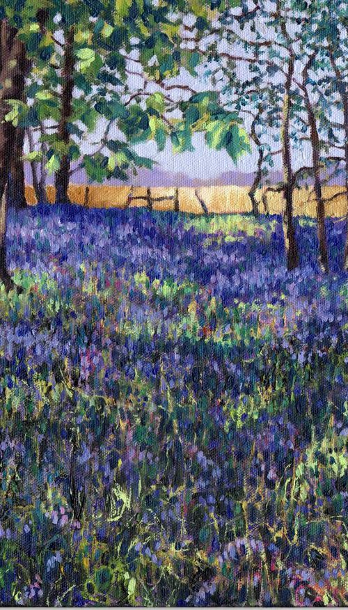 Bluebell Wood by Zoe Elizabeth Norman