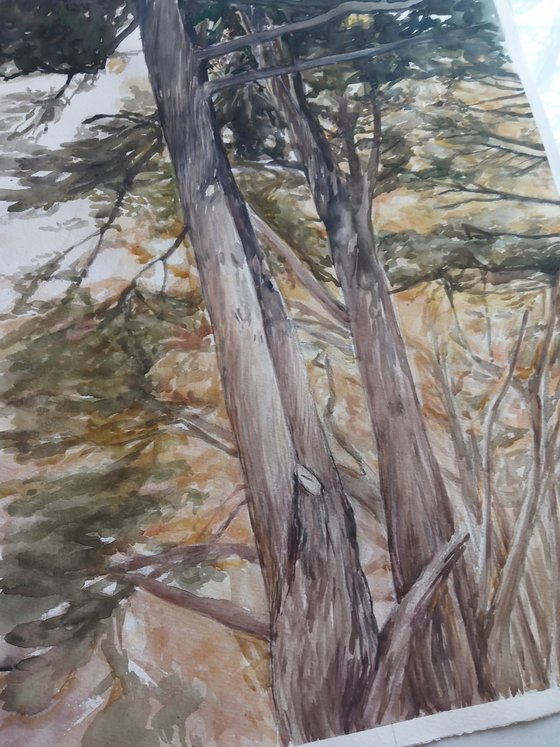 Trees watercolor painting