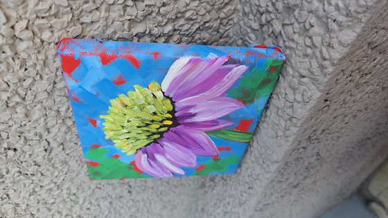 Violet Coneflower Burst