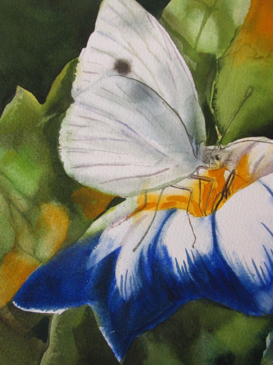 A painting a day #19 "Cabbage white butterfly"