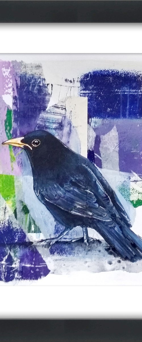 Blackbird collage - framed and ready to hang by Carolynne Coulson