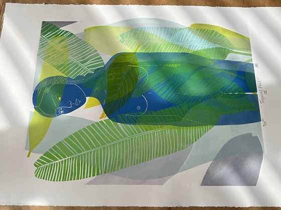 Tropical Veil (III)