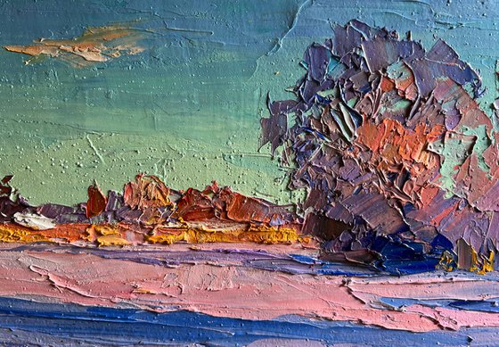 Pink Morning in Winter