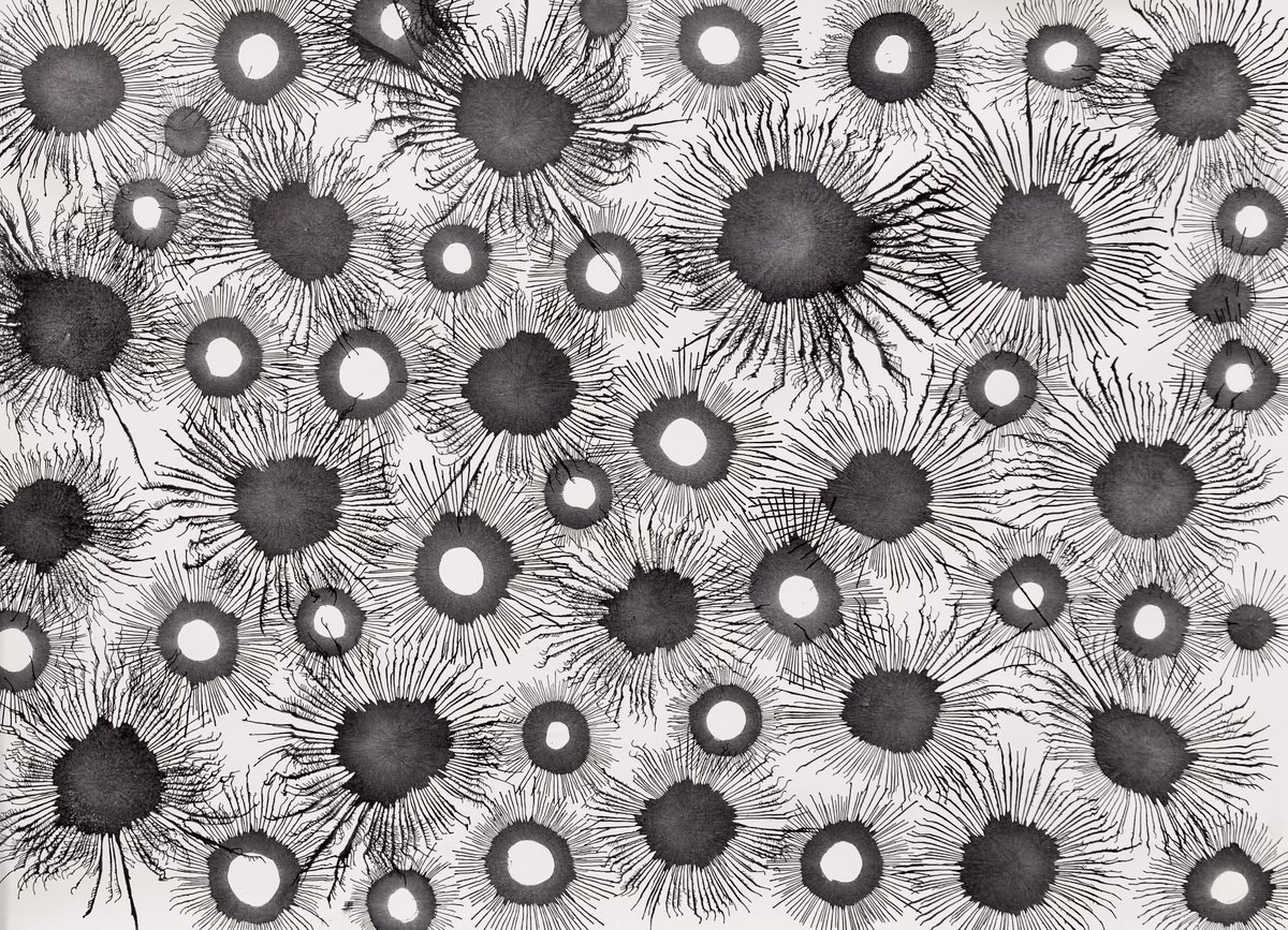 Abstract Acrylic Painting By Sumit Mehndiratta, 61 X 41", Exploflora Series Nº91, Original Artwork