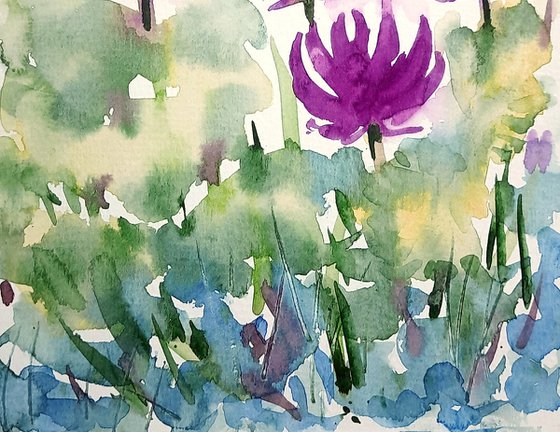 Magenta Water lilies 4