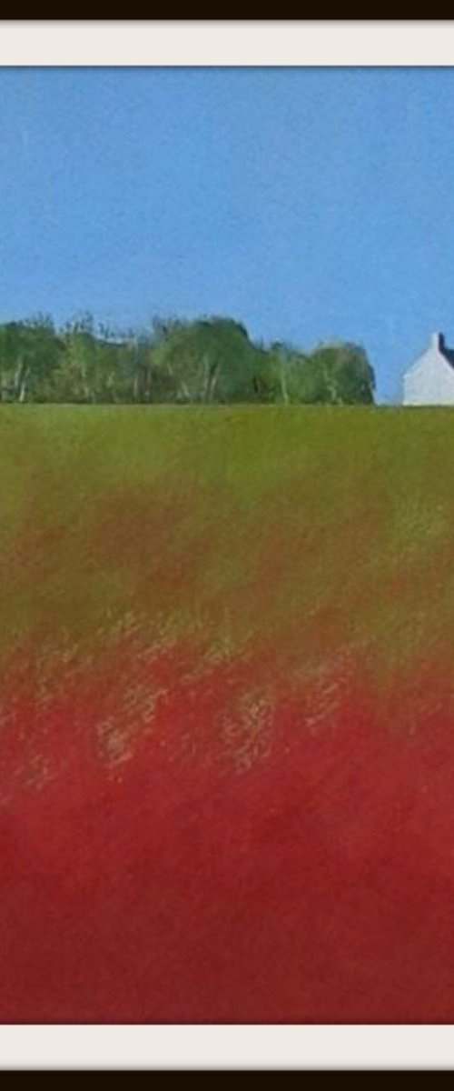 The White Cottage and Poppy Fields by Jan Rippingham