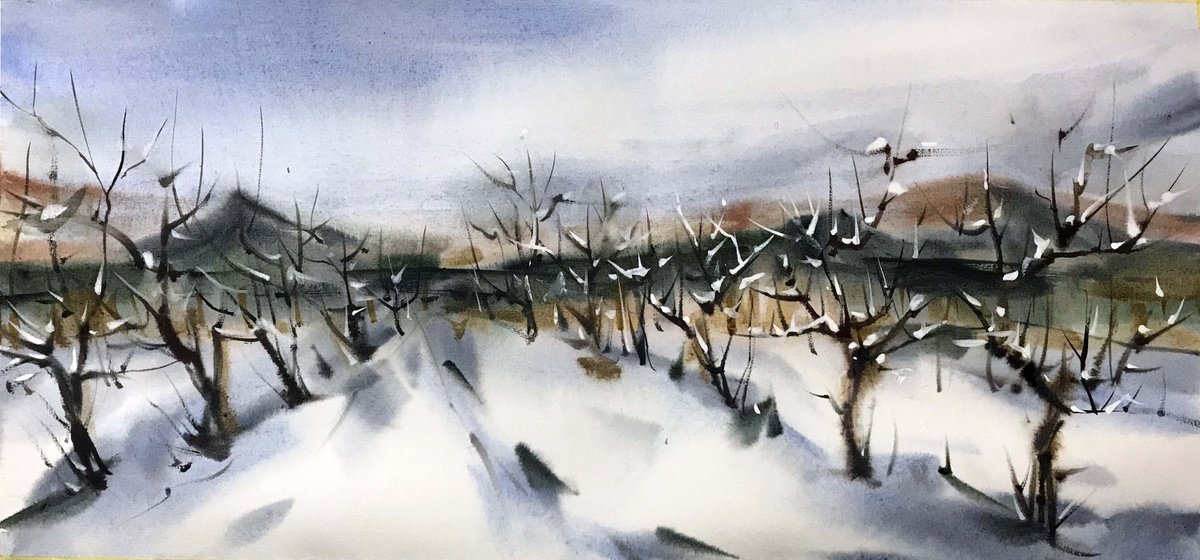 Impressionistic Landscape Watercolour By Galina Poloz, 22 X 10, Winter Vineyards., Original Artwork
