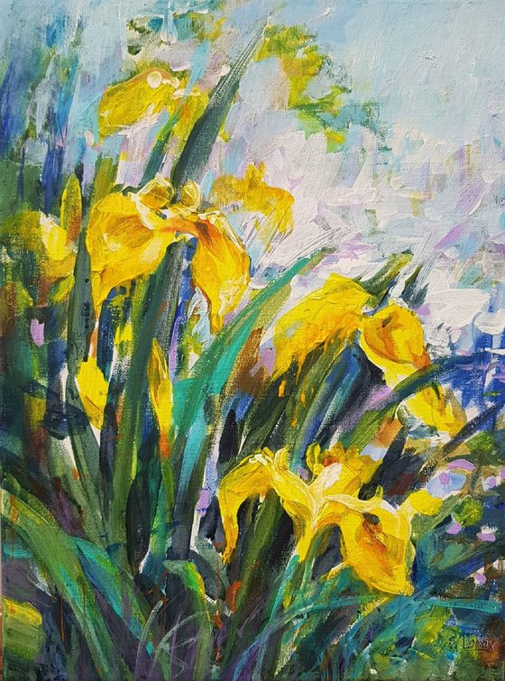 Yellow Irises