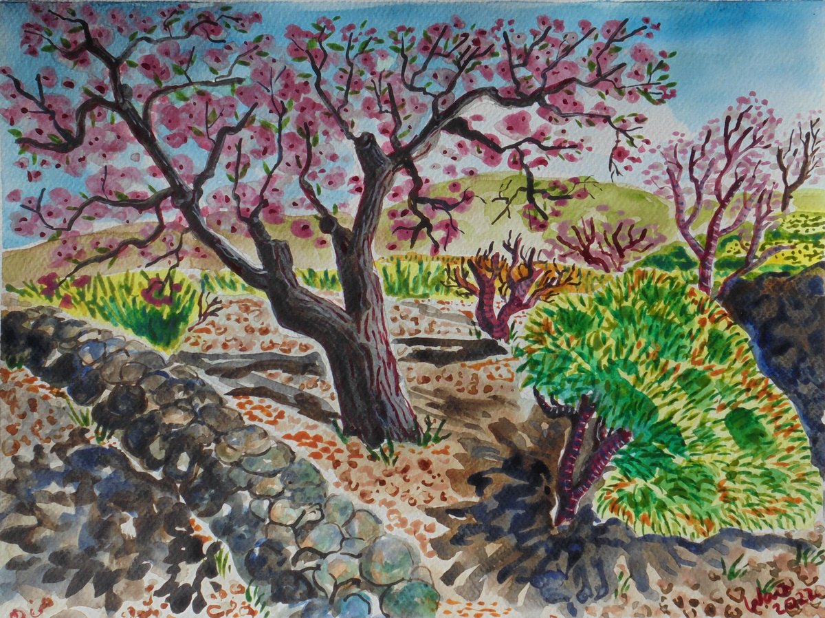 Almond blossom tree study by Kirsty Wain