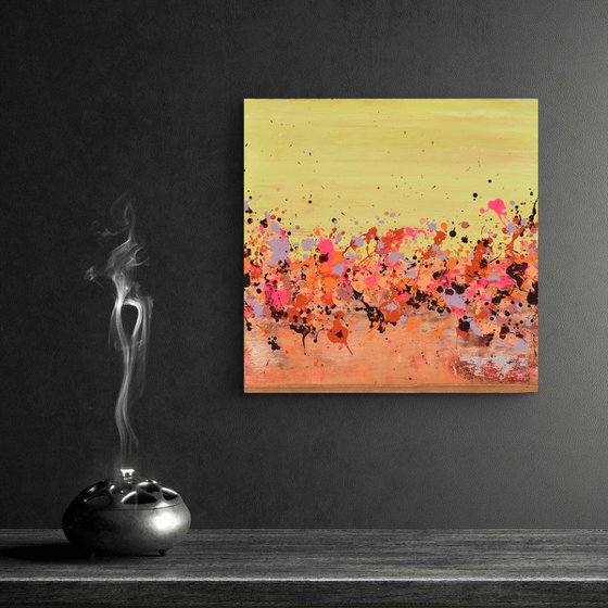 Sunkist Coral 3