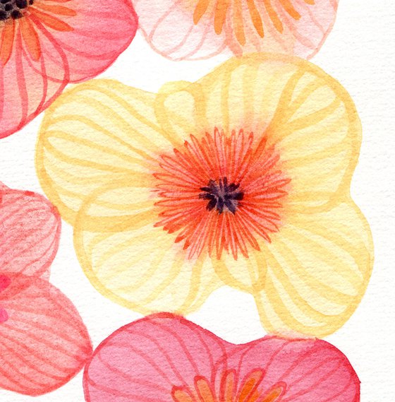 Watercolor abstract poppies