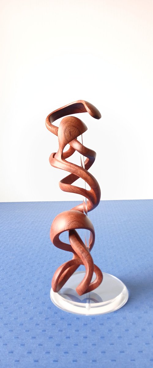 Yoga by Massimiliano Capraro