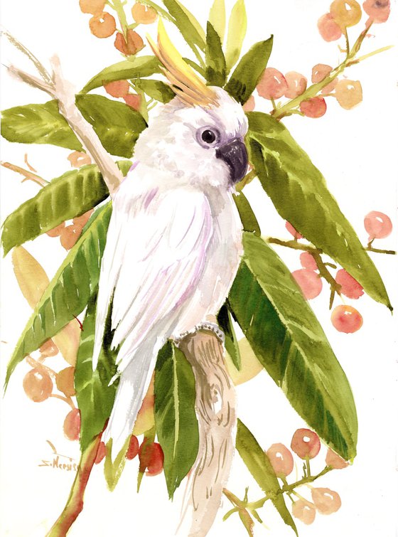 Sulphur-crested Cockatoo, Watercolor Parrot Painting