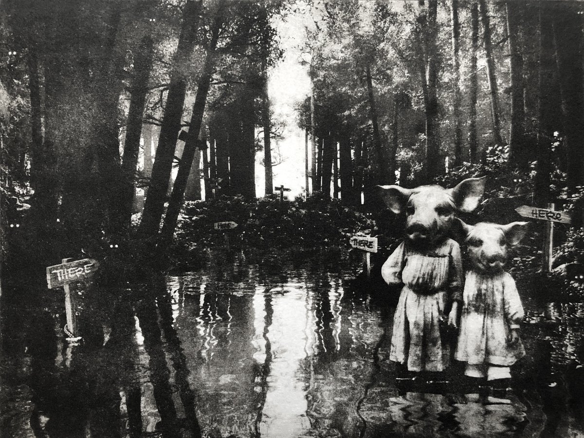 Surrealistic Portrait Etchings & Engravings By Jaco Putker, 13 X 10, Here And There, Original Artwork