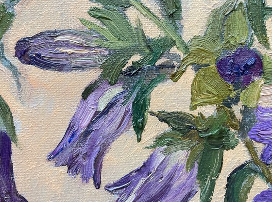 Bouquet of bellflowers