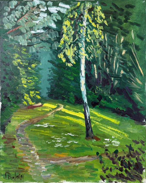 Evening Light on the Birch Tree