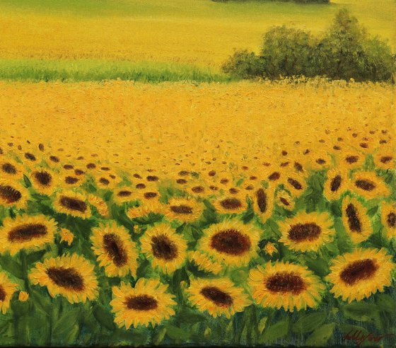 Sunflowers