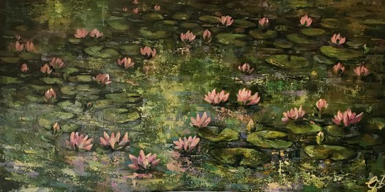 Lilly pond no5