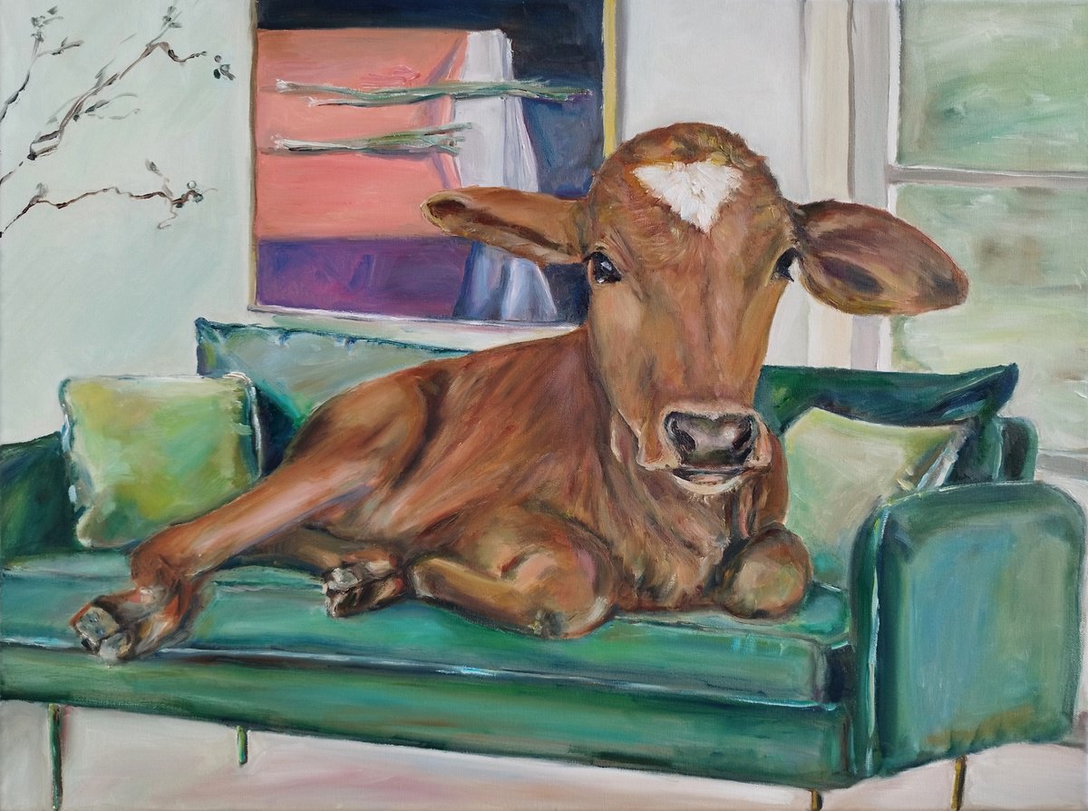Oil Painting , Brown Cow On Green Couch By Jura Kuba Art, 31 X 24, Artwork For Sale On Artfinder