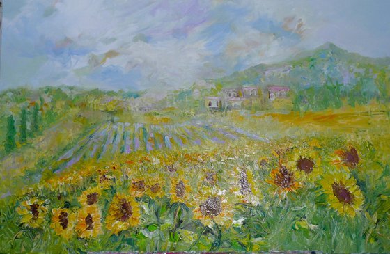 Tuscan Sunflowers 2024