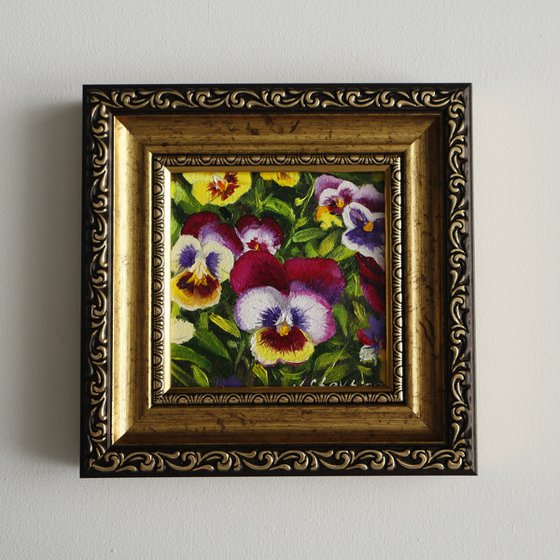 Tiny Pansies