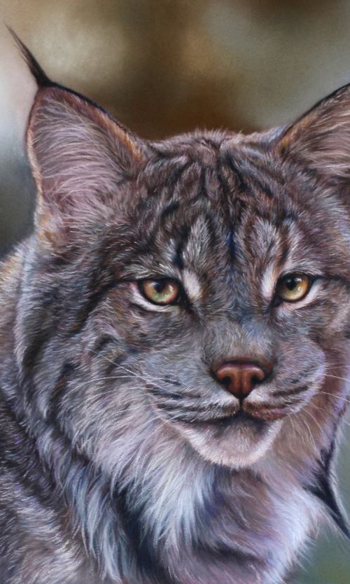 Lynx in the forrest by Tatjana Bril