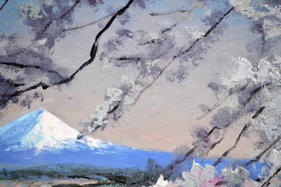 Mt. Fuji & Cherry Blossoms, Kawaguchiko