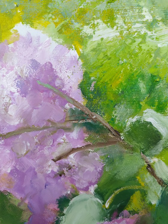 Lilac