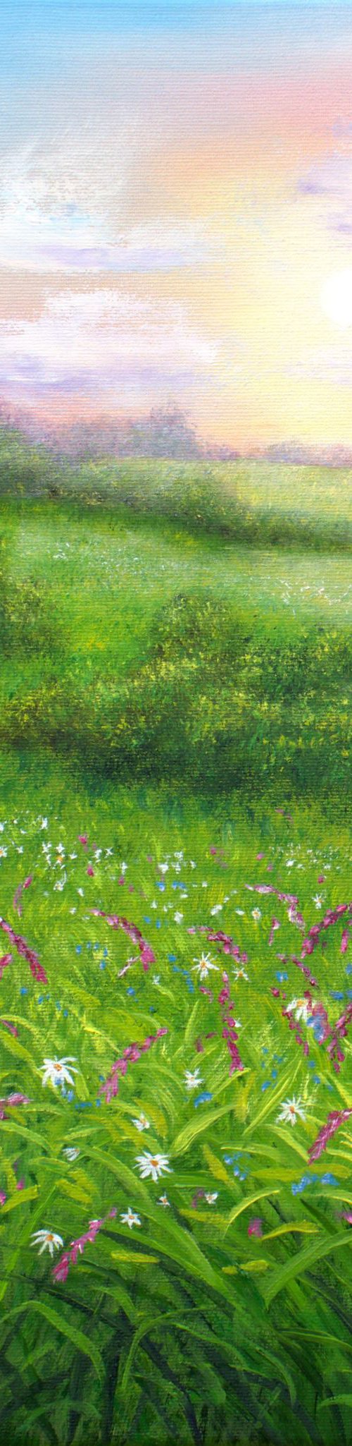 Wildflowers meadow by Ludmilla Ukrow